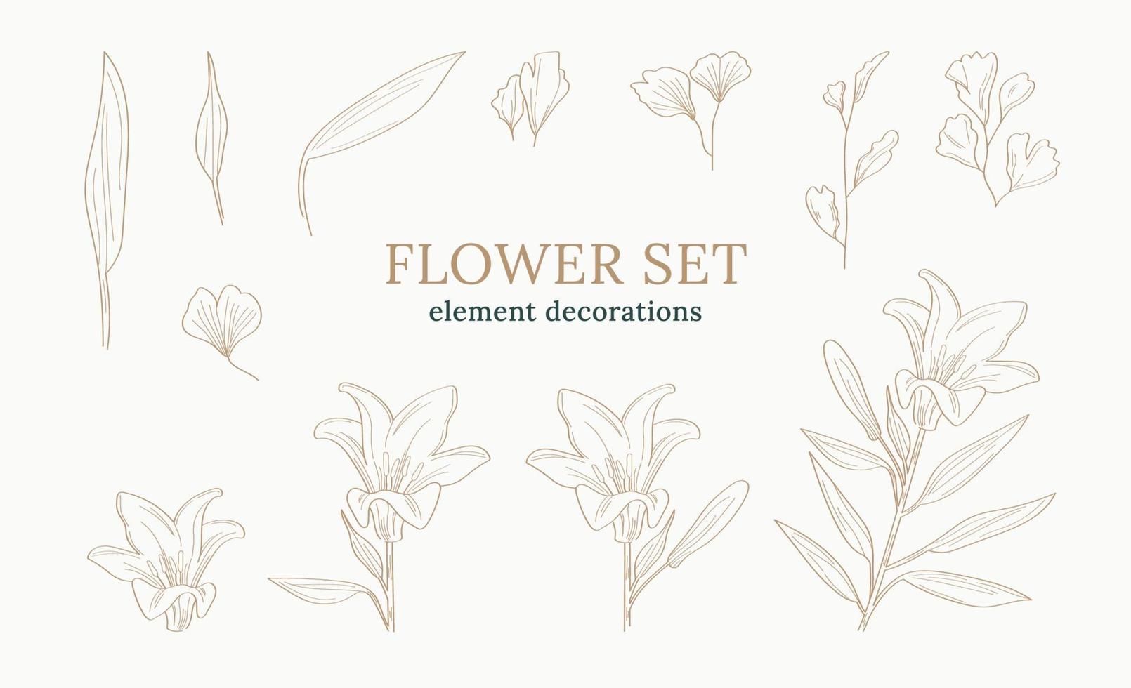 Flowers element decorations set vector