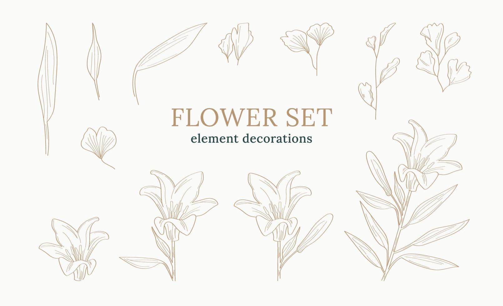 conjunto de decoraciones de elementos de flores vector