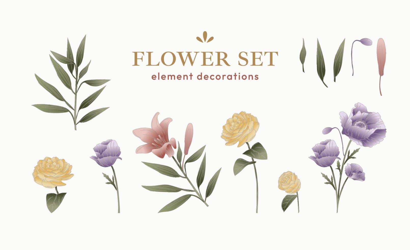 conjunto de decoraciones de elementos de flores vector