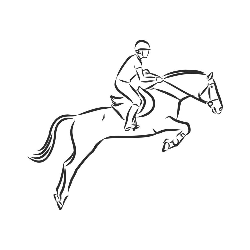 horse training vector sketch