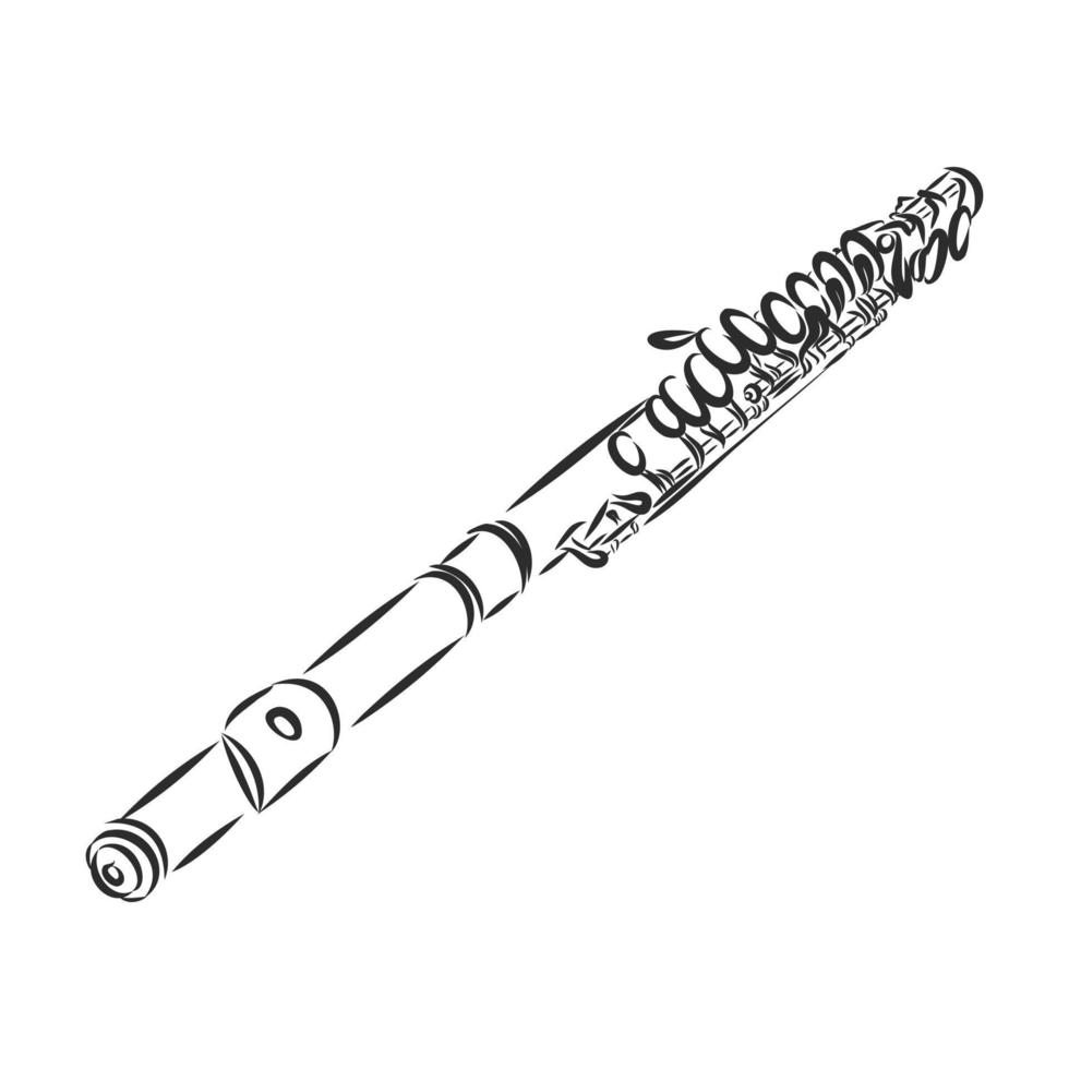 flute vector sketch