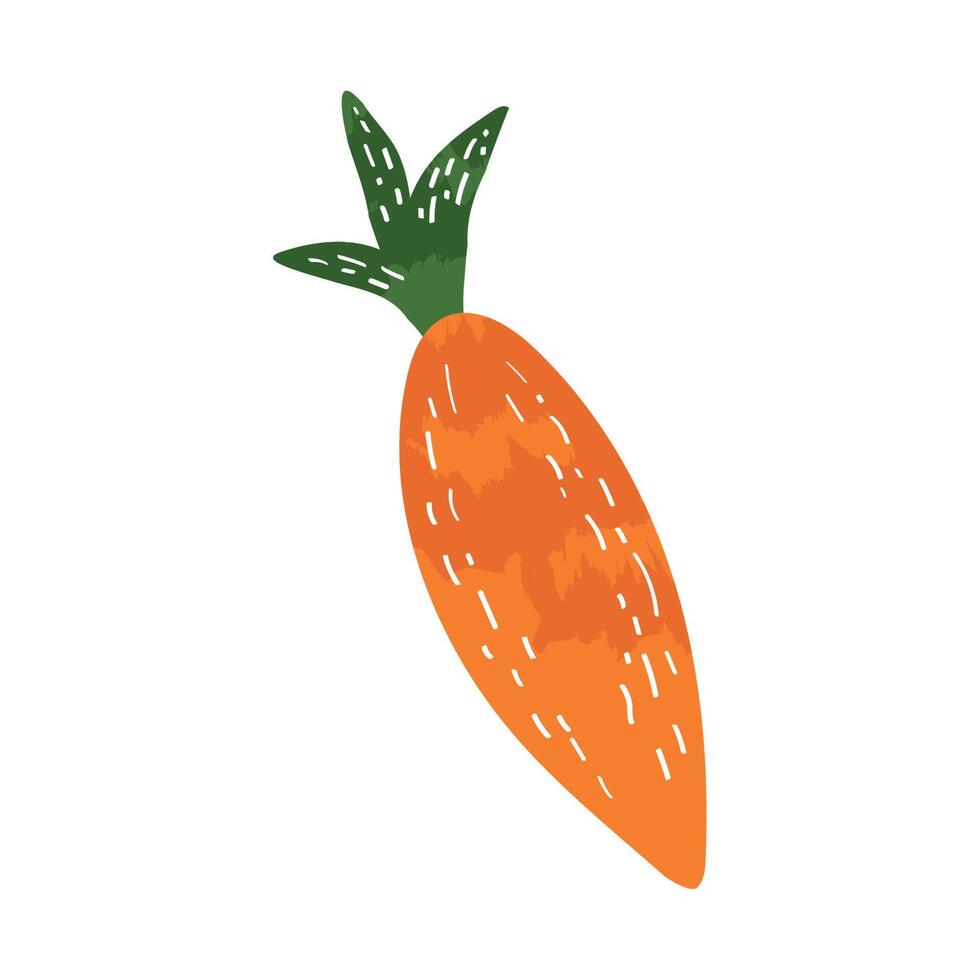 carrot fresh vegetable vector
