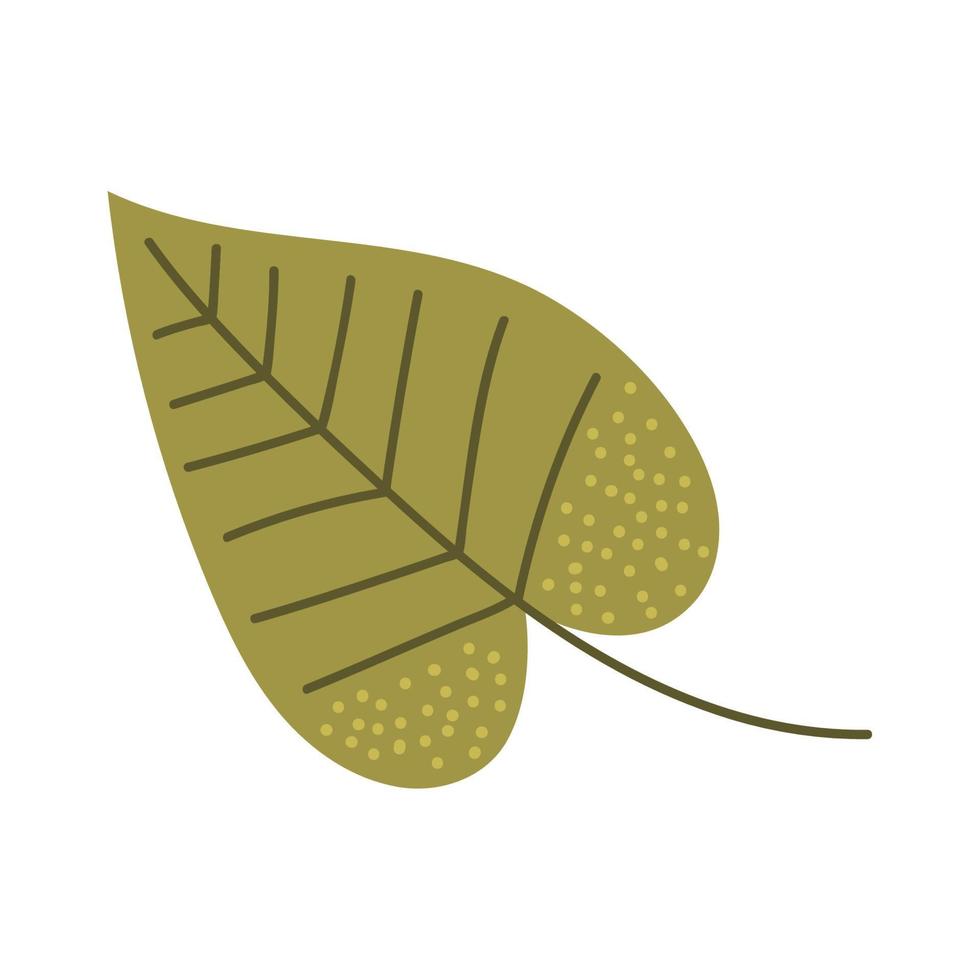 leaf plant foliage vector