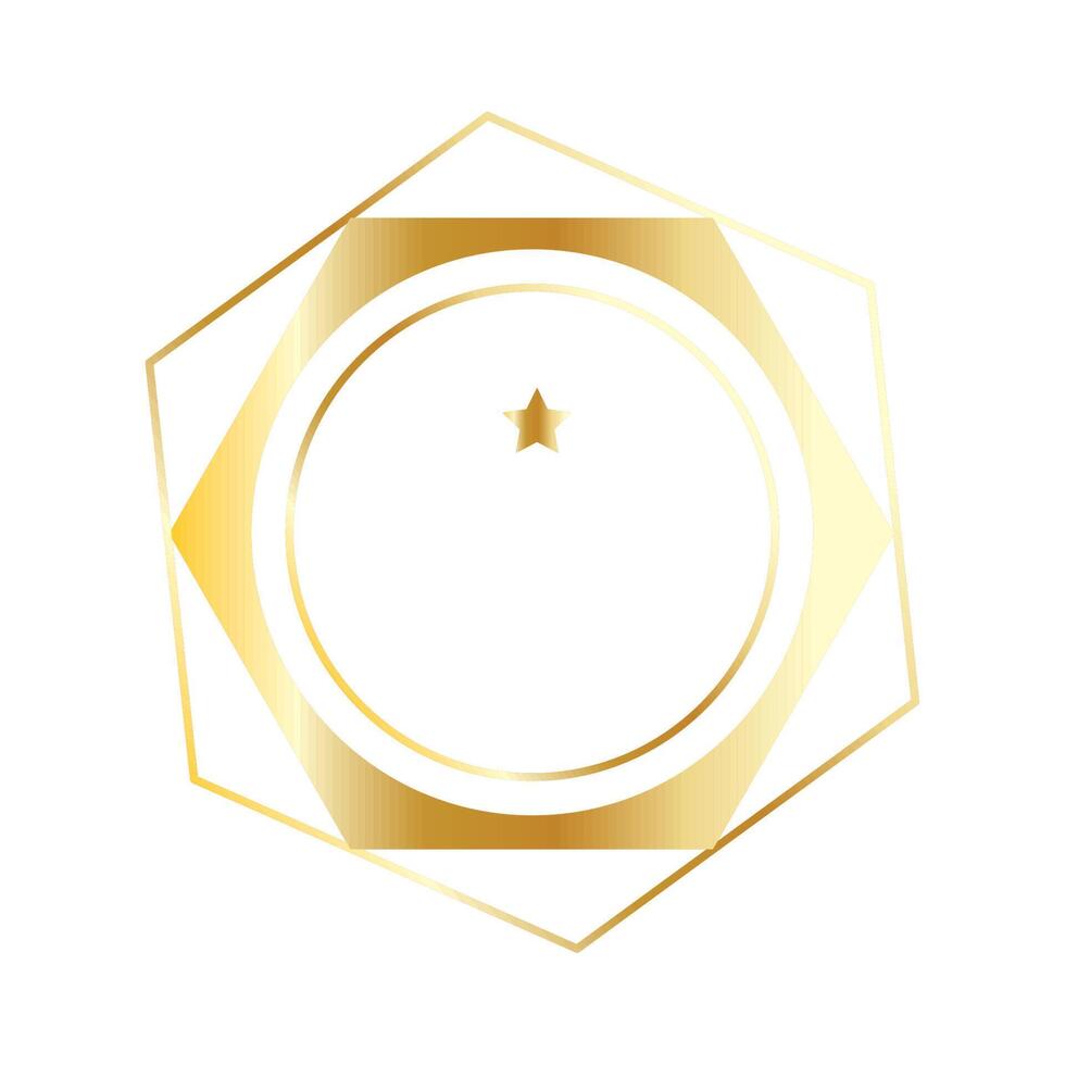 golden hexagon with star vector
