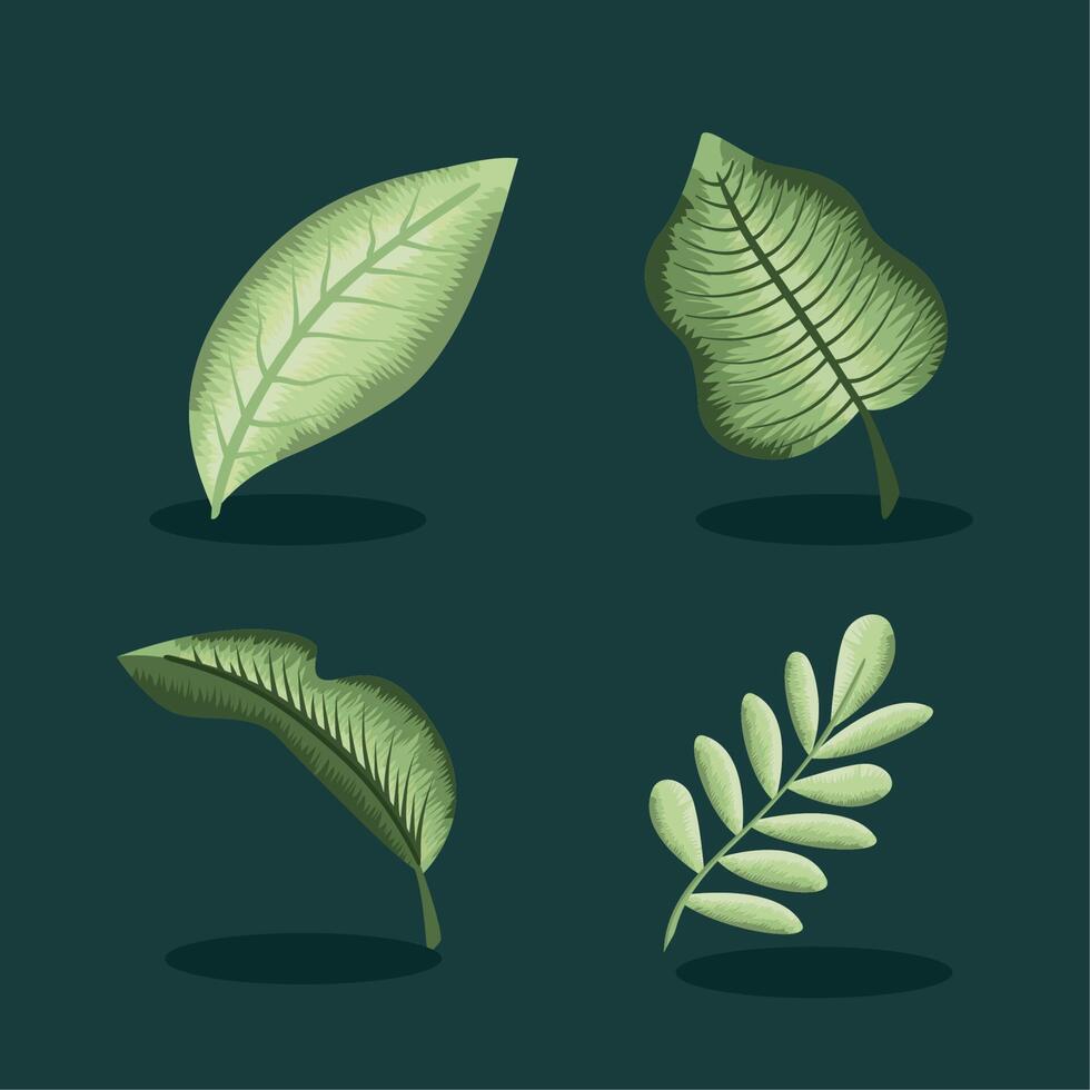 four leafs nature vector