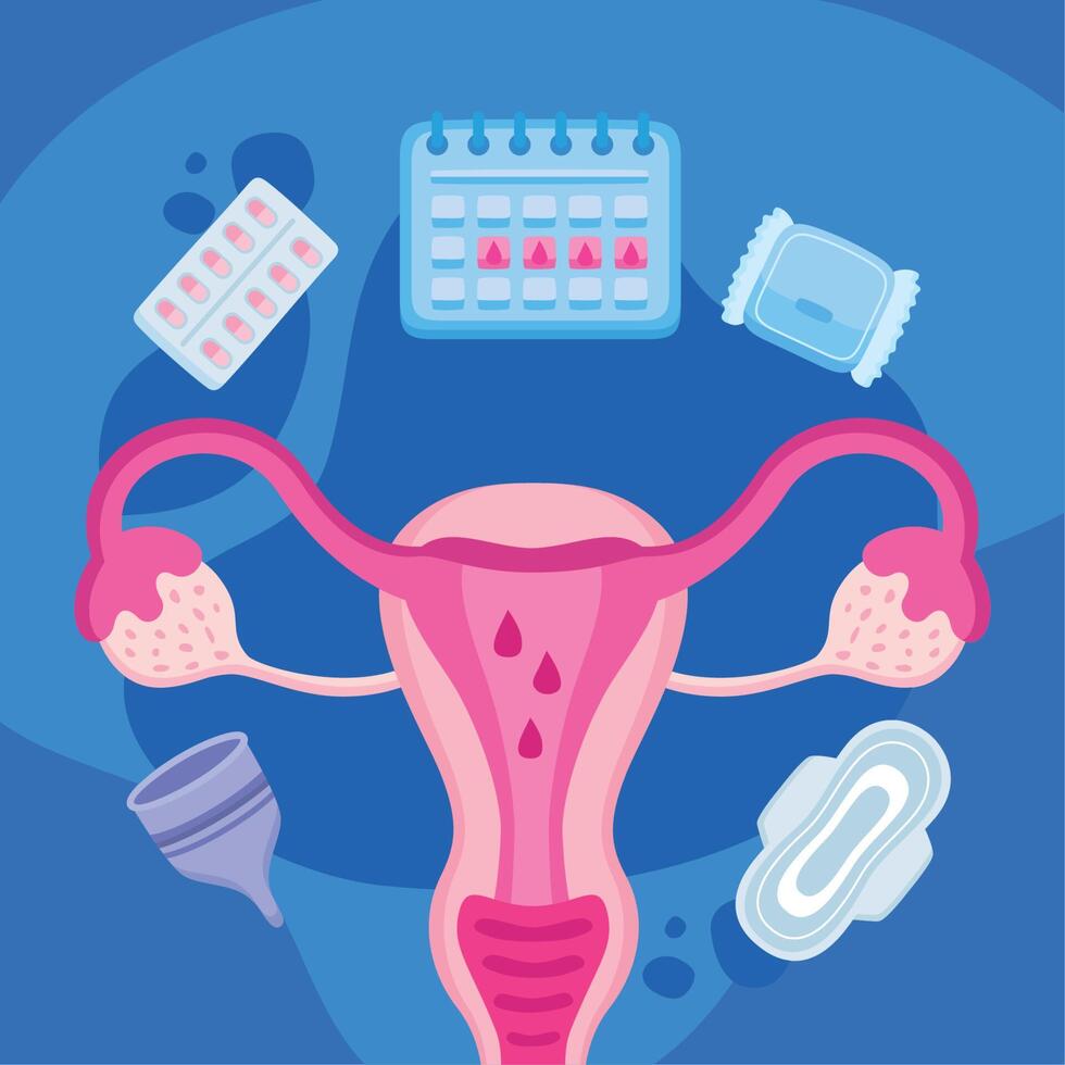 uterus and menstruation icons vector