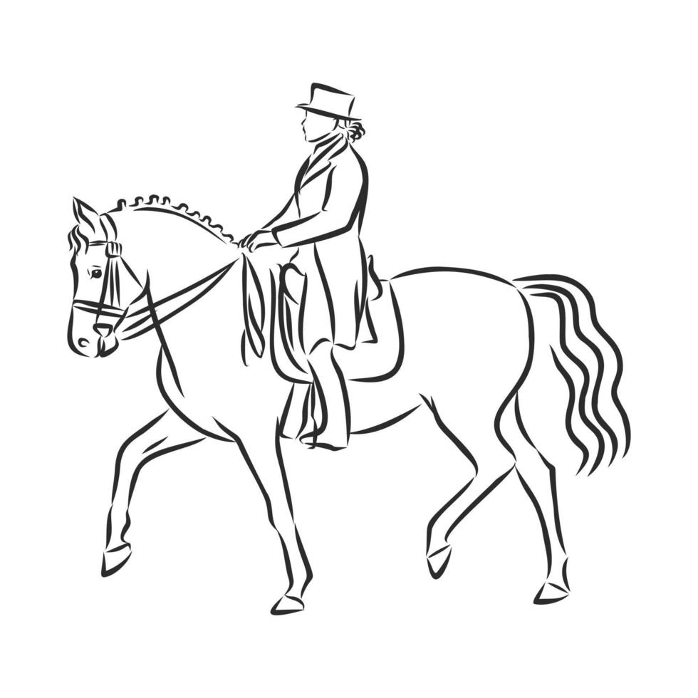 bosquejo del vector del entrenamiento del caballo