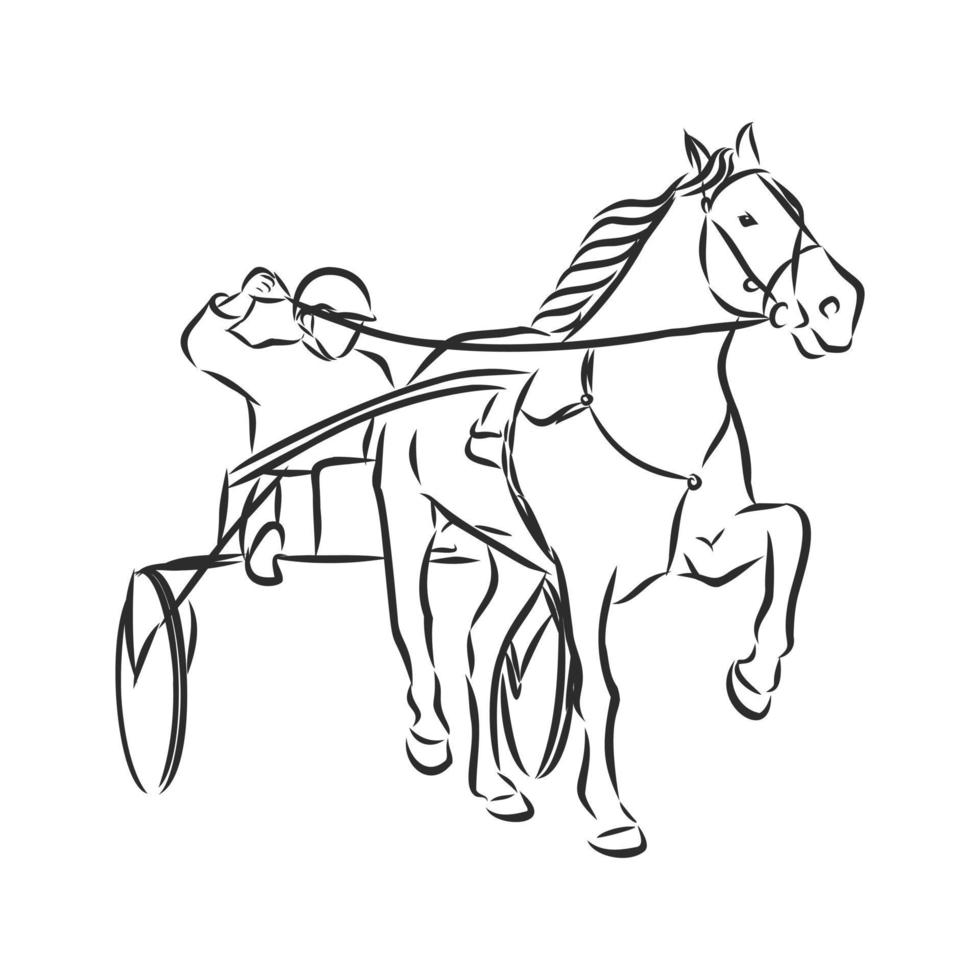 horse training vector sketch