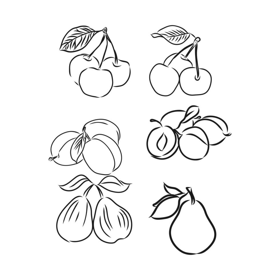 bosquejo del vector de la fruta