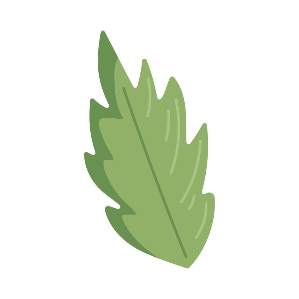 planta de hoja verde vector