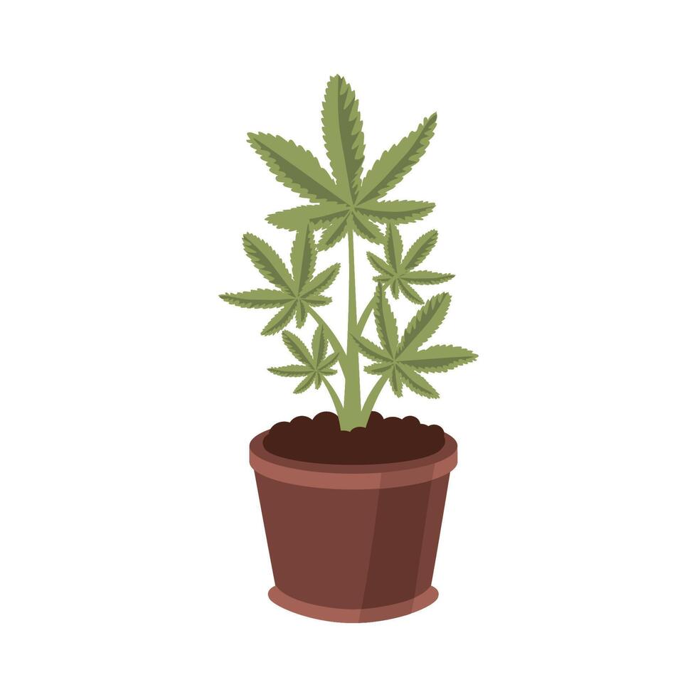 planta de cannabis medicinal vector