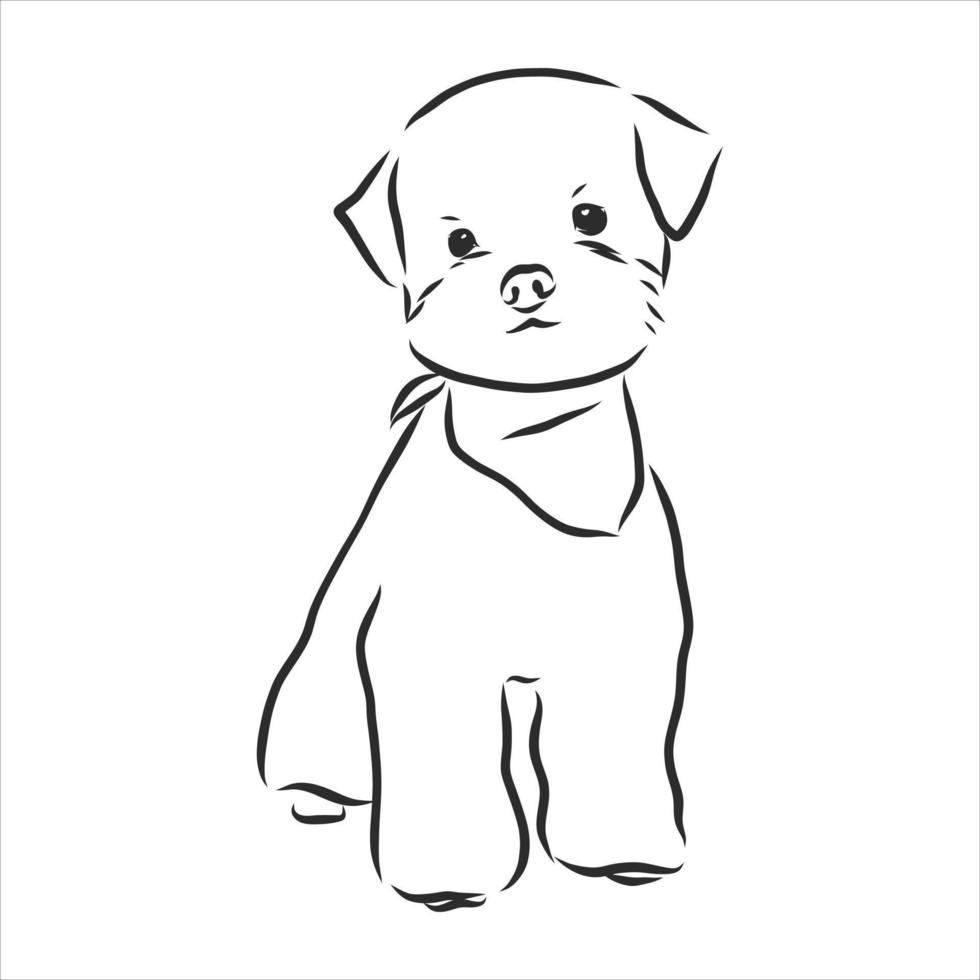 dog vector sketch