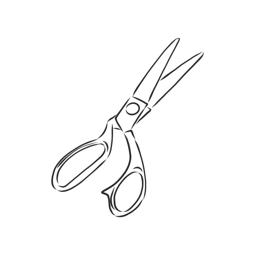 scissors vector sketch