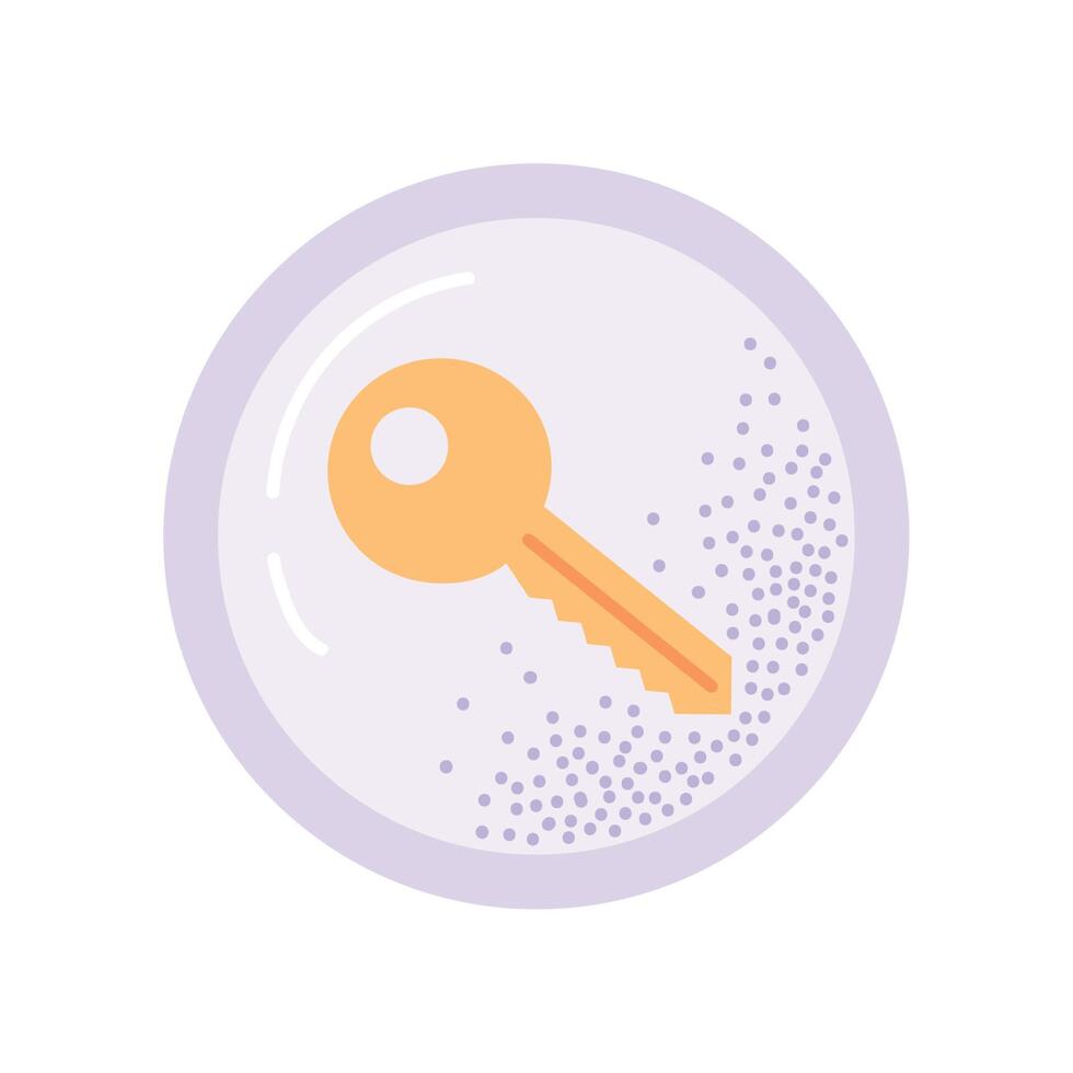 golden key in button vector