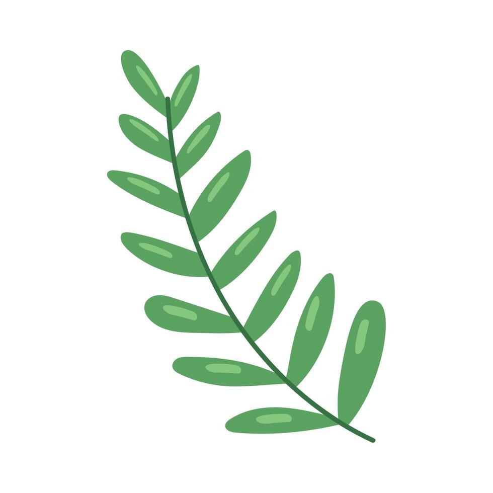 branch with leafs vector