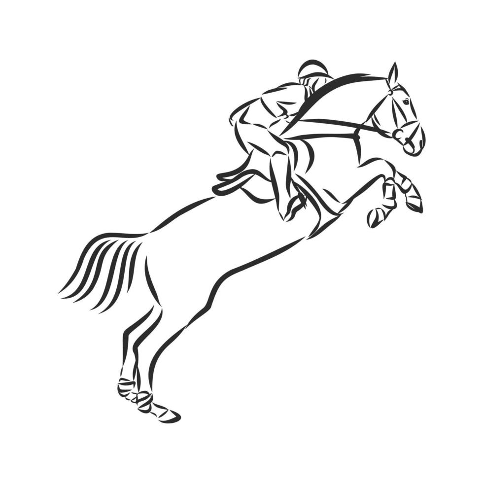 horse training vector sketch