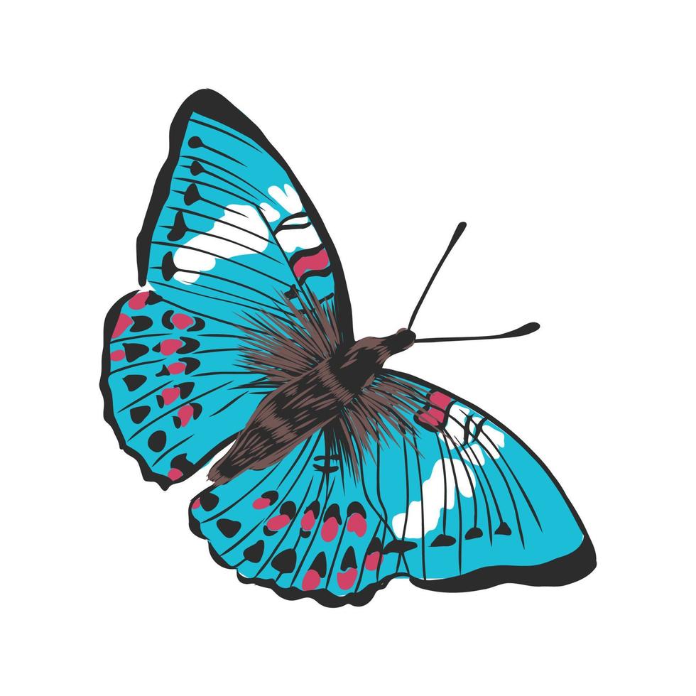 bosquejo del vector de la mariposa