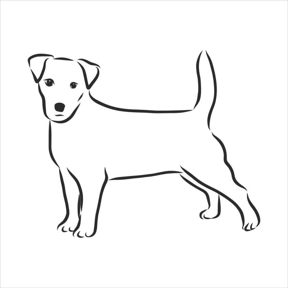 bosquejo del vector del perro