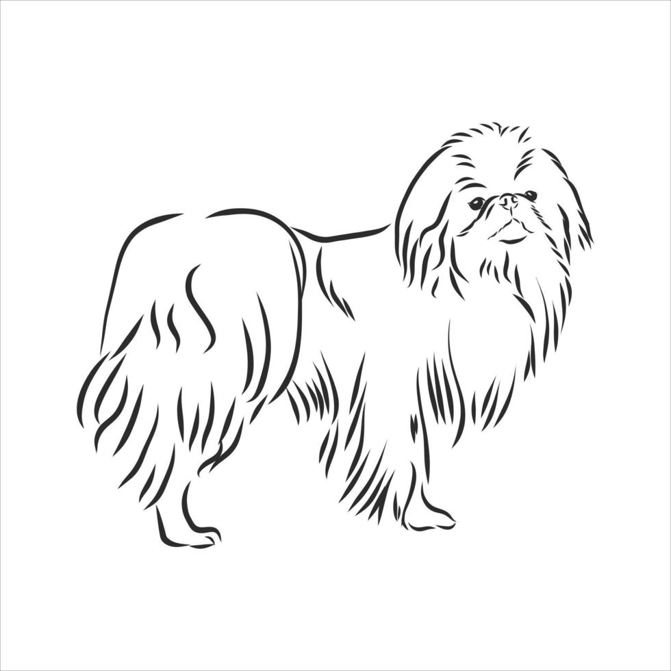 dog vector sketch