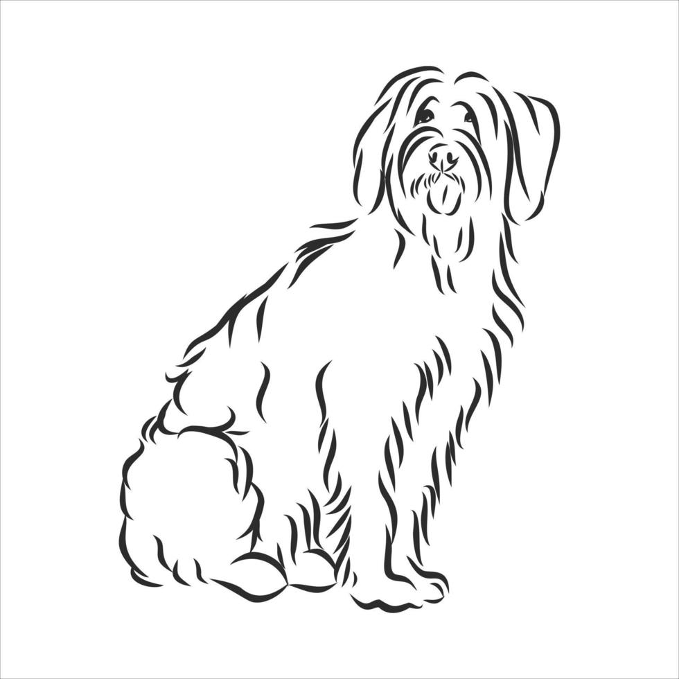 dog vector sketch