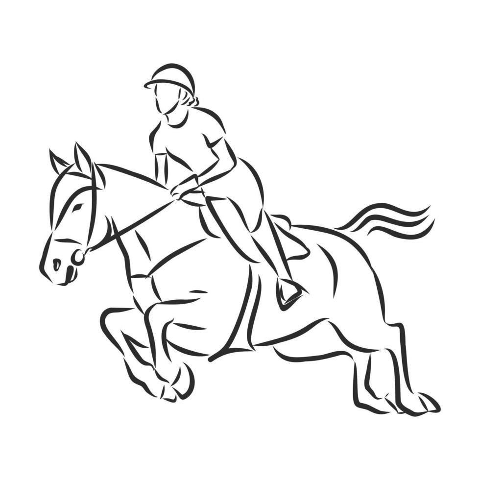 horse training vector sketch