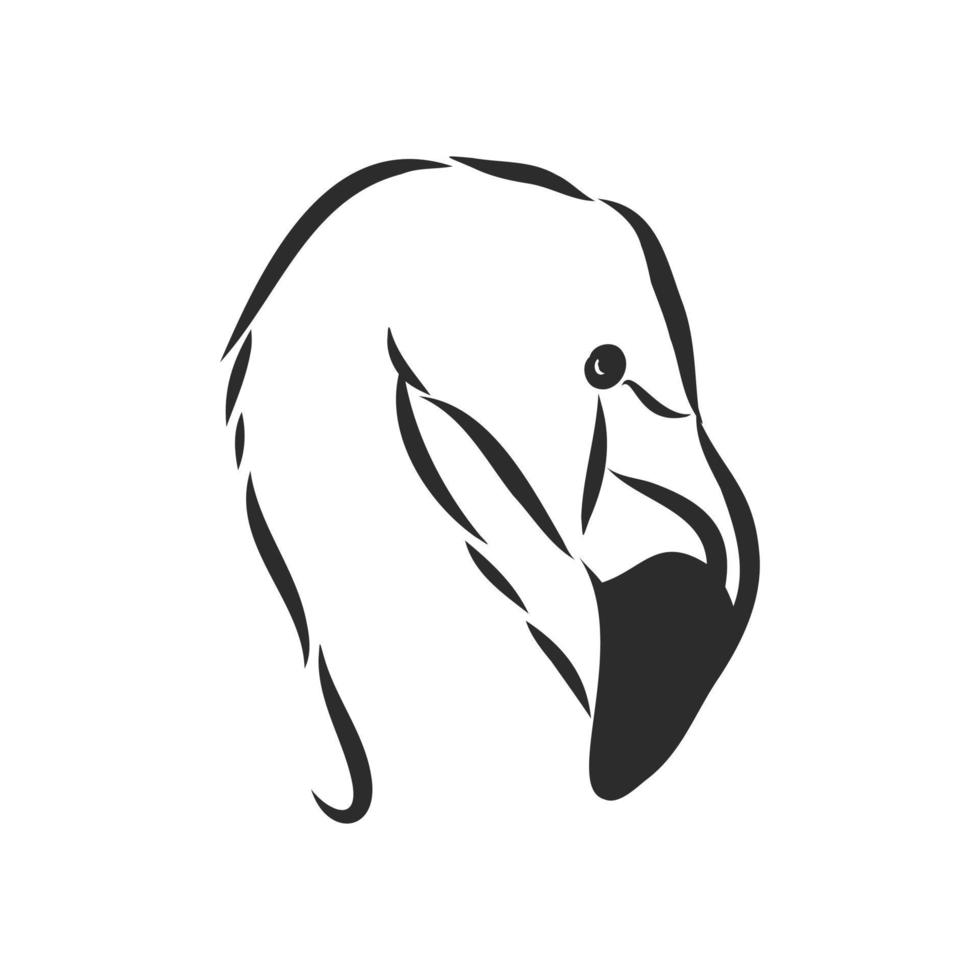 flamingo vector sketch