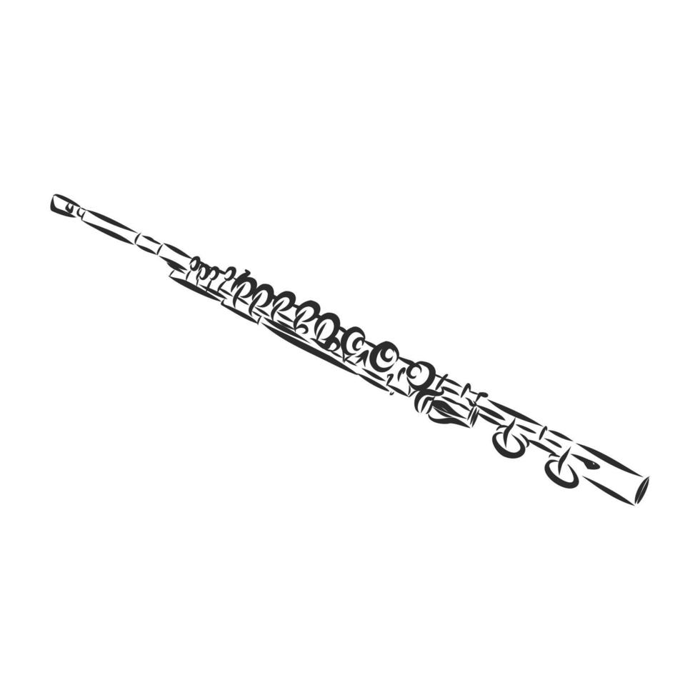 flute vector sketch
