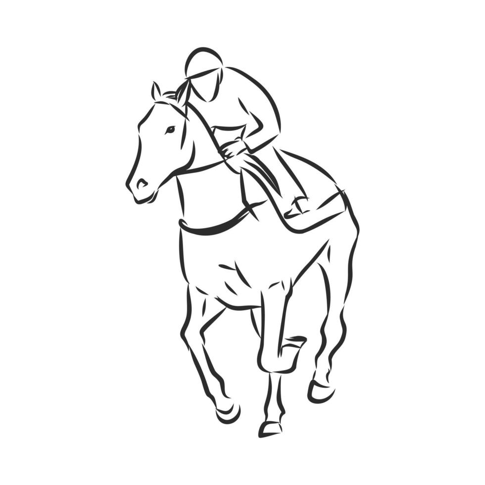 horse training vector sketch