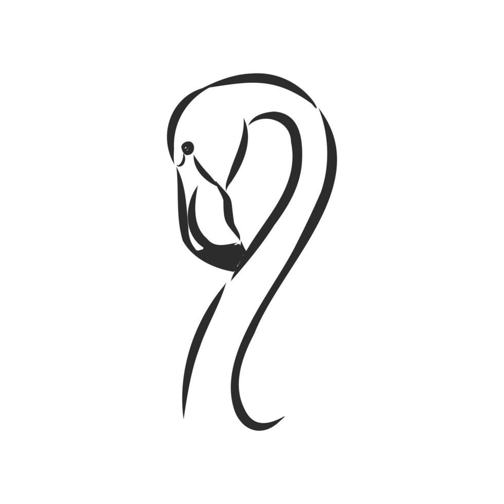 flamingo vector sketch