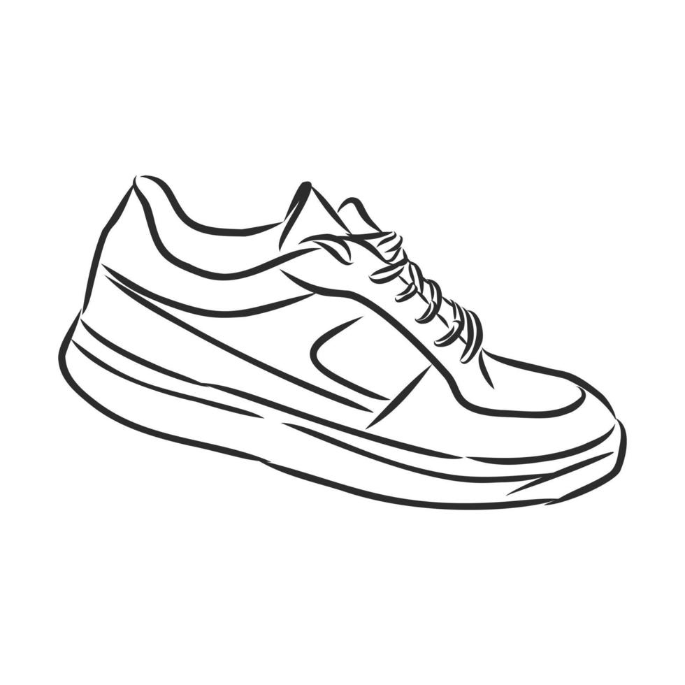 sneakers vector sketch