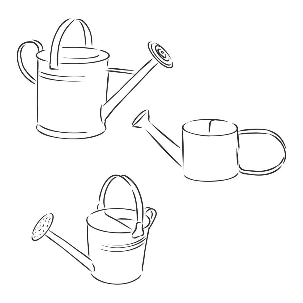 garden watering can vector sketch