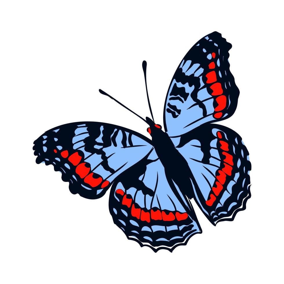 butterfly vector sketch