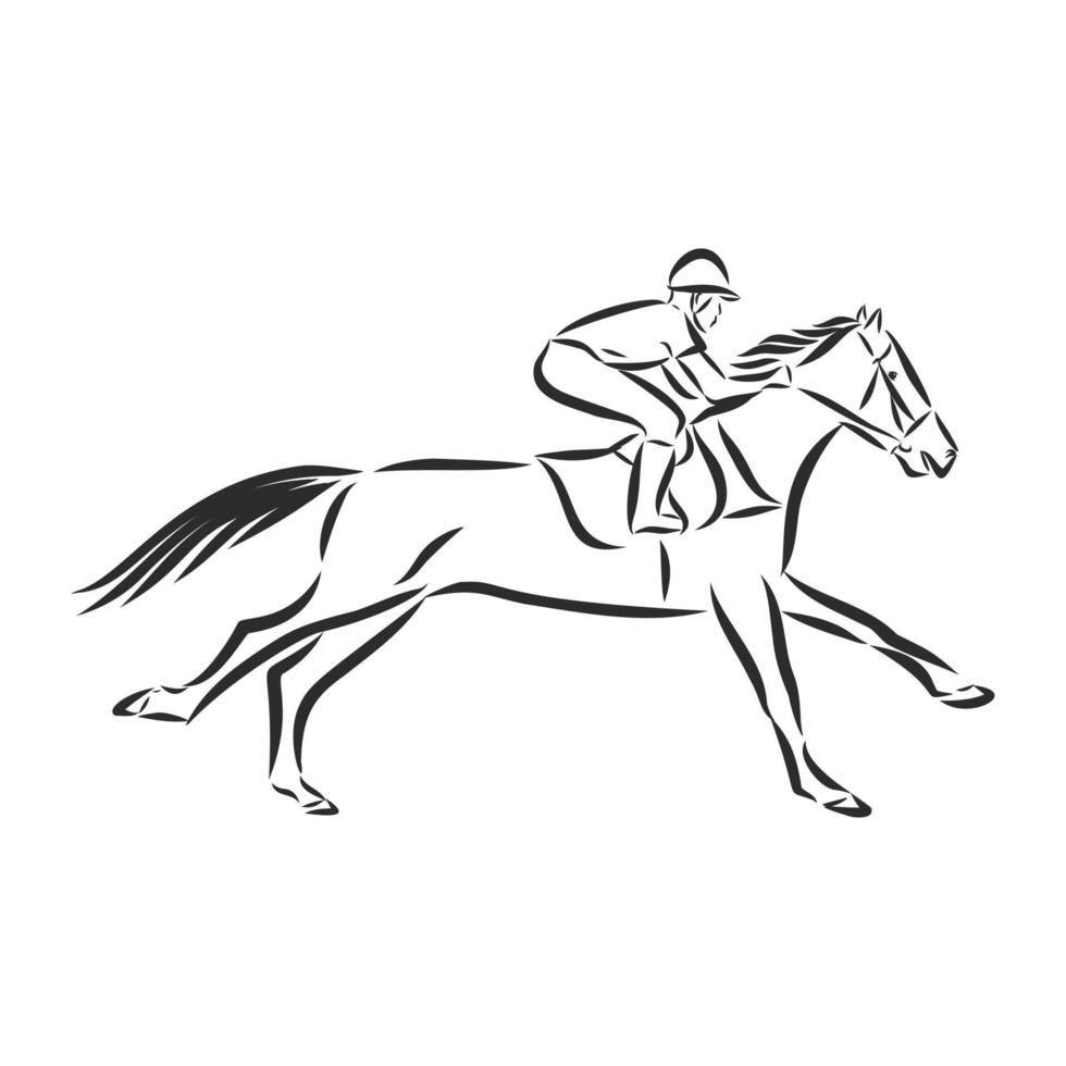 horse training vector sketch