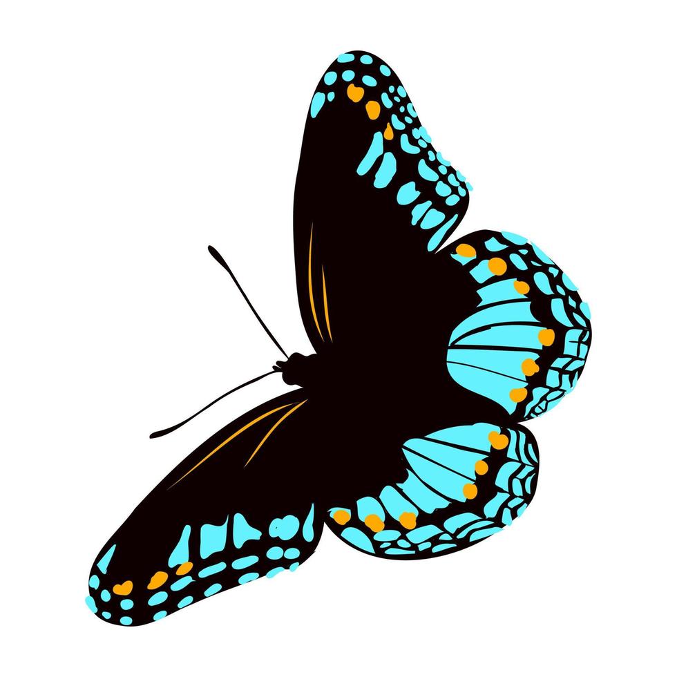 bosquejo del vector de la mariposa