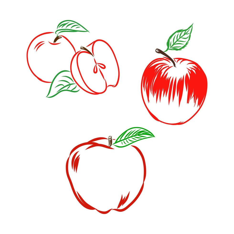 dibujo vectorial de manzana vector