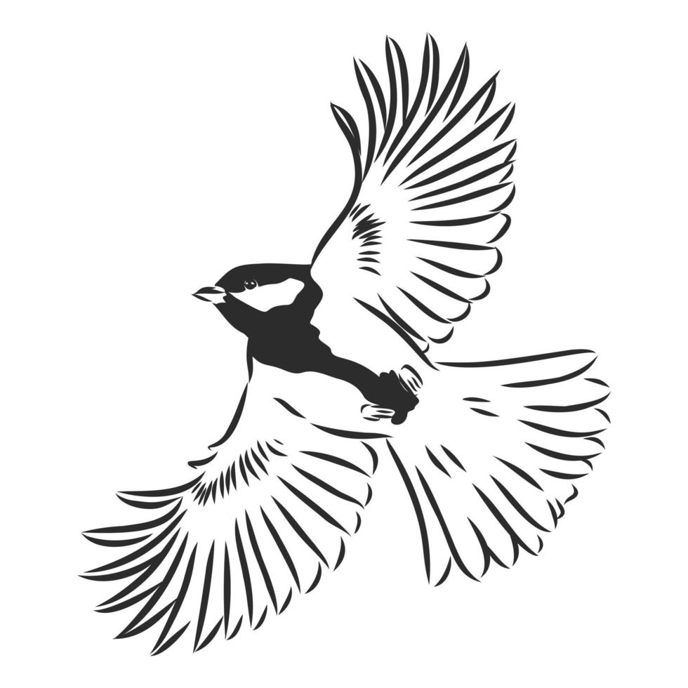 tit vector sketch