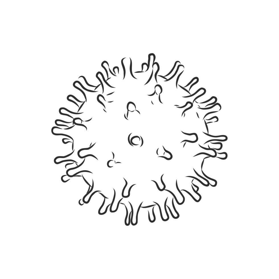 virus vector sketch