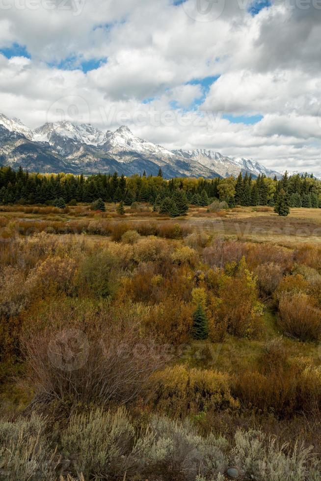 Scenic view of the Grand Teton National Park photo