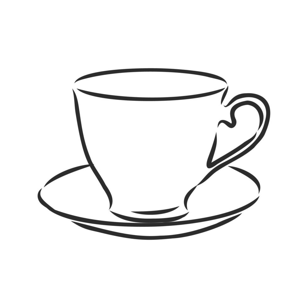 cup vector sketch