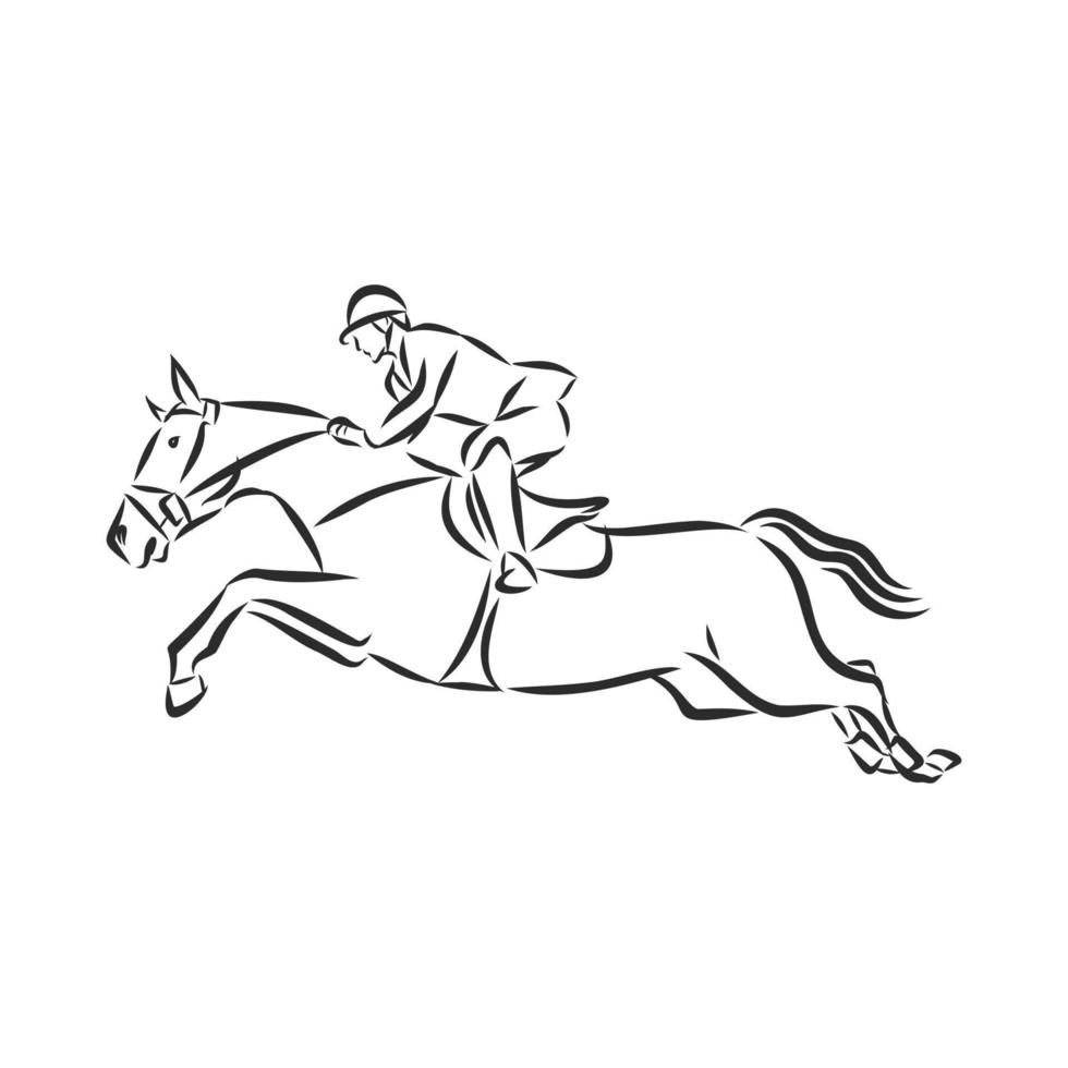 horse training vector sketch