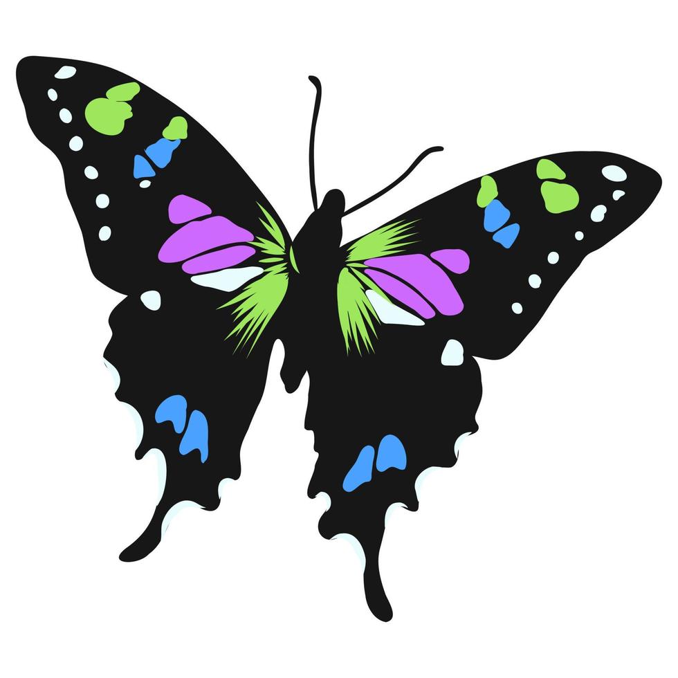 bosquejo del vector de la mariposa