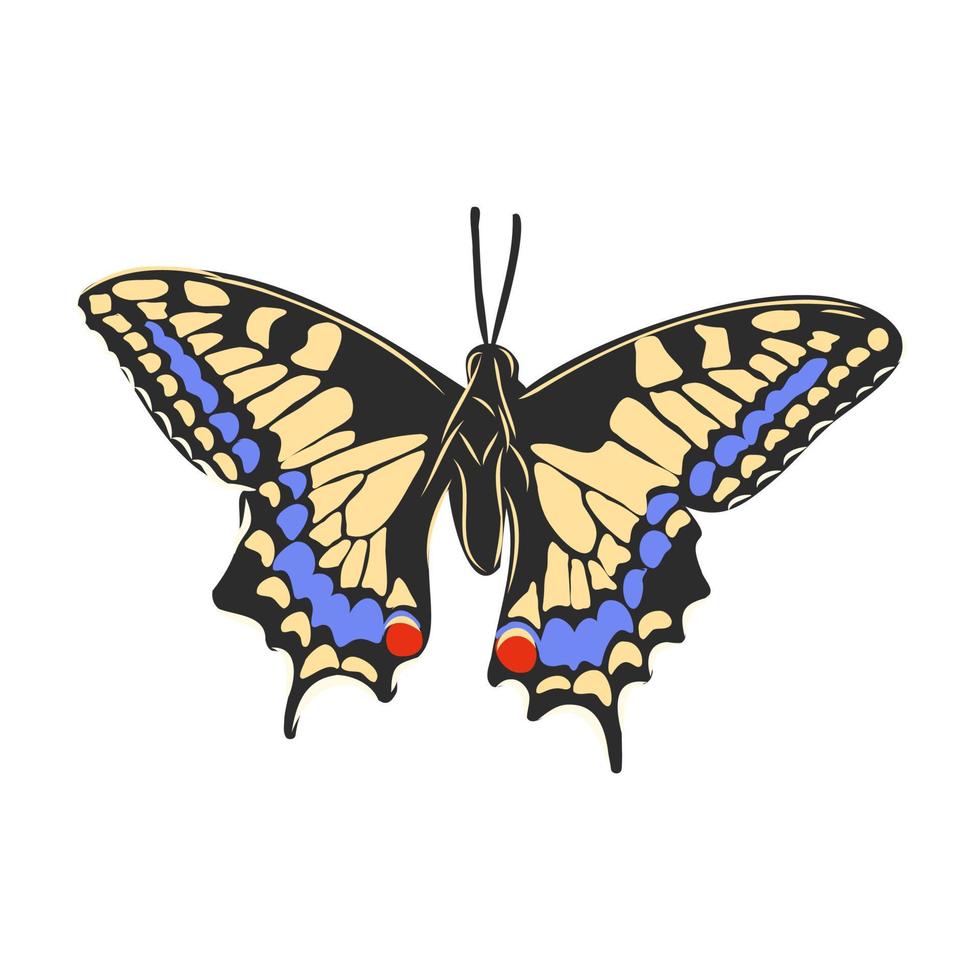 butterfly vector sketch