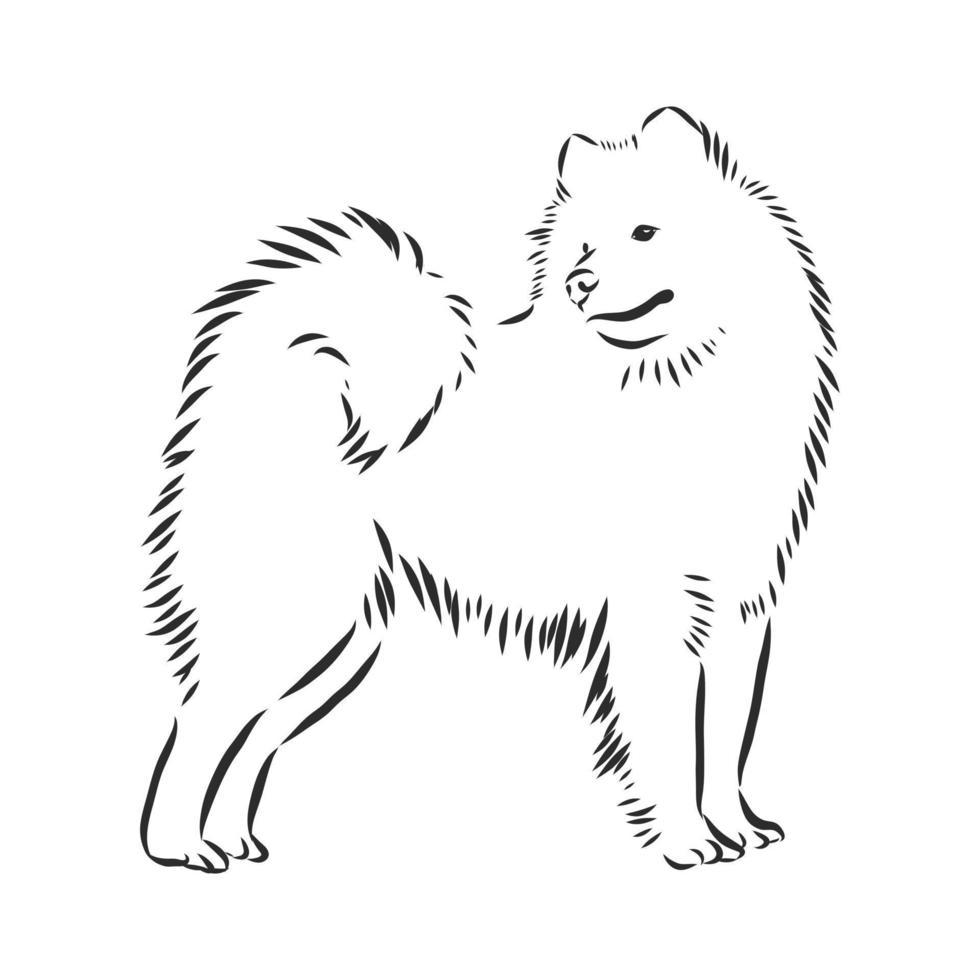 dog vector sketch