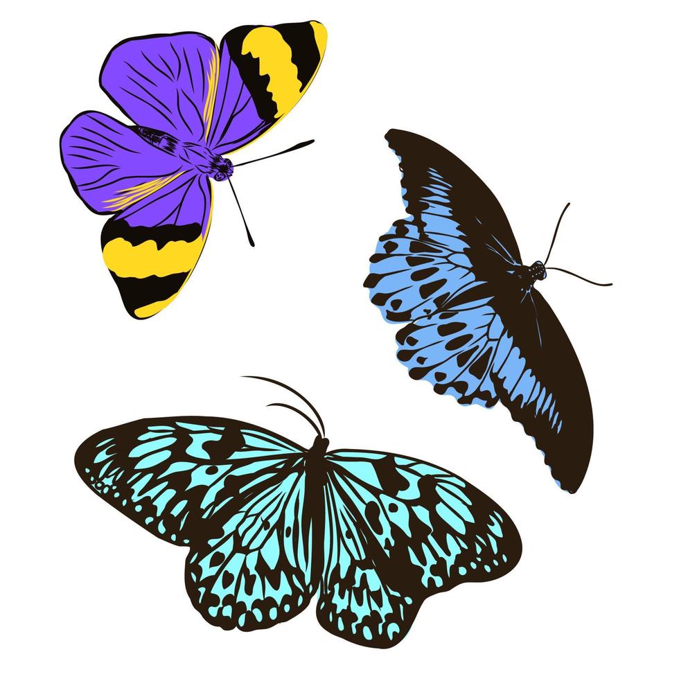 bosquejo del vector de la mariposa