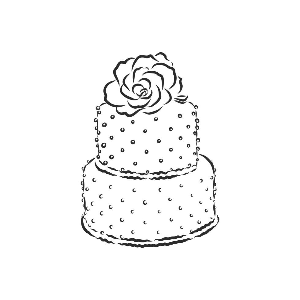 cake vector sketch