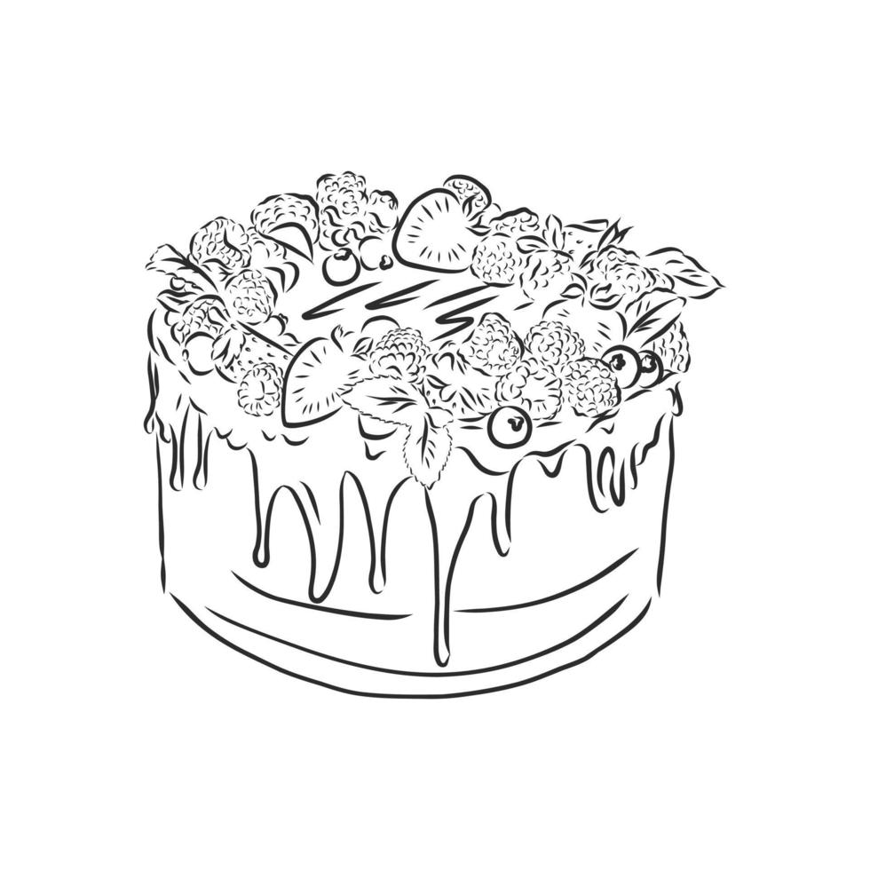 cake vector sketch