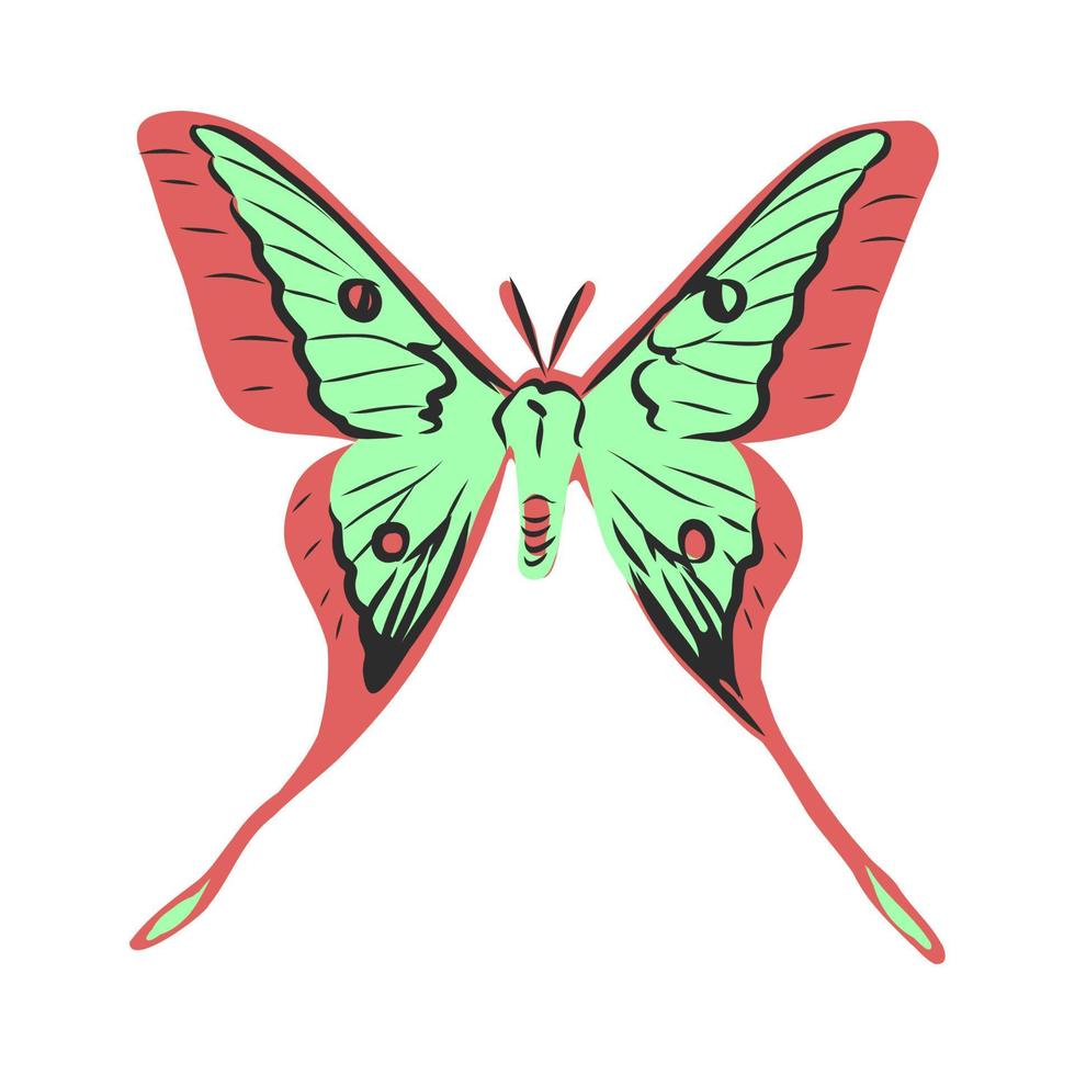 butterfly vector sketch