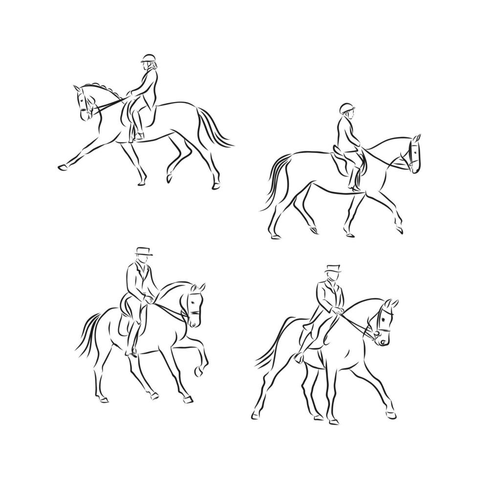 dressage horses vector sketch