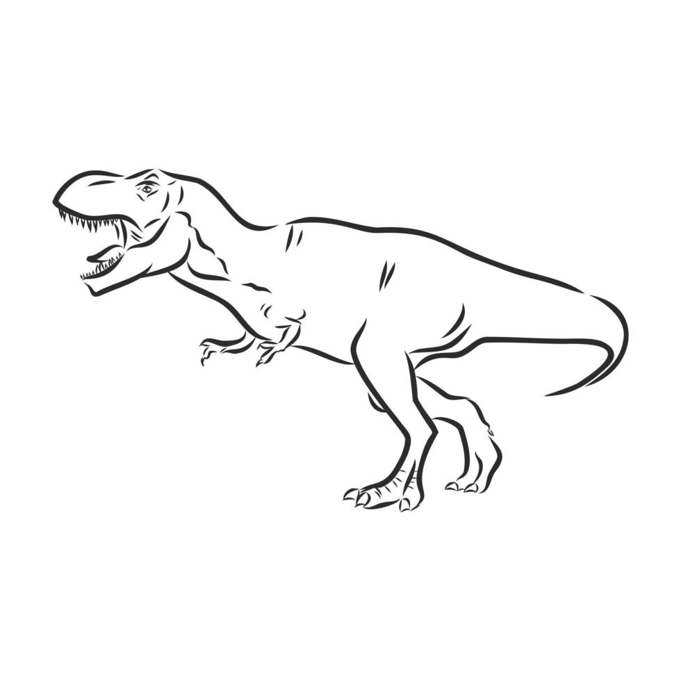 dibujo vectorial de dinosaurio vector