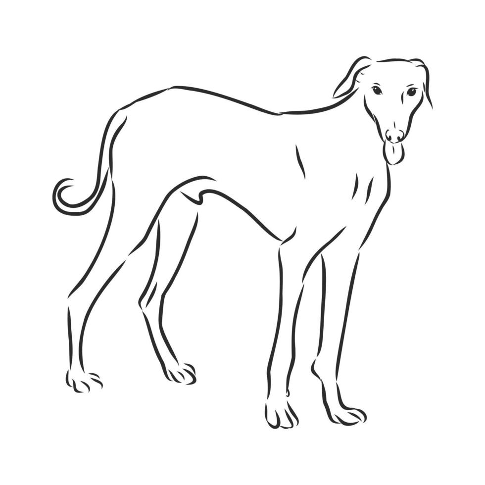 bosquejo del vector del perro